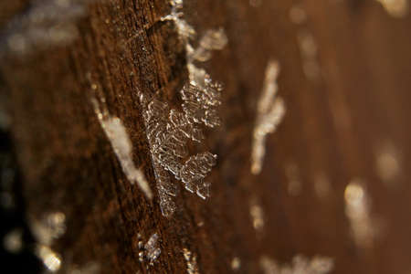 Snowflakes grown on a wooden surface