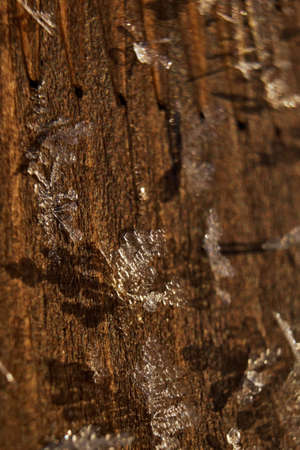 Snowflakes frozen on a wooden surfaceの写真素材