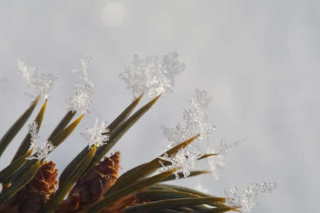 Christmas tree spikes with snowflakes on them