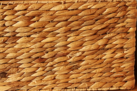 wooden background - beautiful wood grain