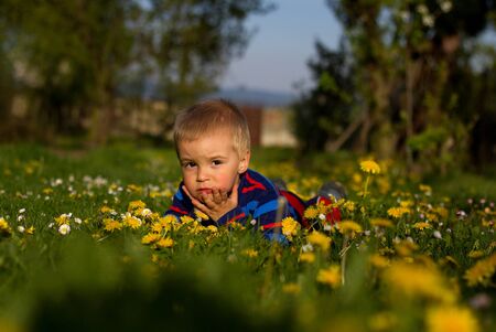 Cute little boy lies between dandelions (shallow DOF).の写真素材