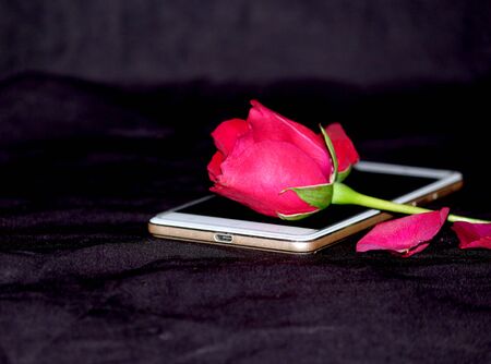 beautiful romantic proposal, Red rose put on mobile valentine gift, love Decorative background on blackの写真素材