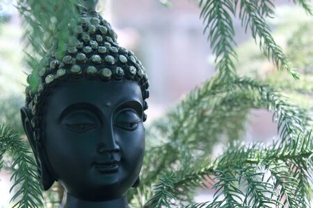 antique buddha god black face statue among green natureの写真素材