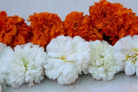 marigold and chrysanthemum flower round design, rangoli, floral art, traditional decoration with natural flower on white backgroundの写真素材