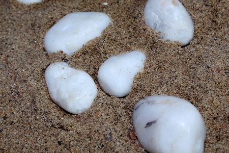 White pebble stones lie on a sandy background, selective focus with blur.の写真素材