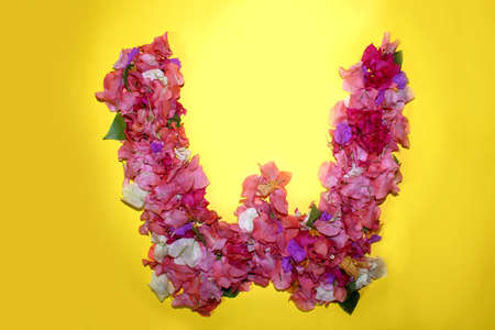 letter w flower alphabet, made from colorful bougainvillea flowers, wonderful flora letters for unique spring decorations and various creation ideas, greeting card design over on yellow background.の写真素材