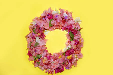 letter o flower alphabet, made from colorful bougainvillea flowers, wonderful flora letters for unique spring decorations and various creation ideas, greeting card design over on yellow background.の写真素材
