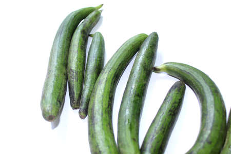 Ridge Guard, Gilki or Turai Fresh Organic Green Healthy Vegetable over on white background, selective focus with blur.の写真素材