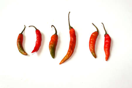Vegetable red chilli hot food, spicy chili on white backgroundの写真素材