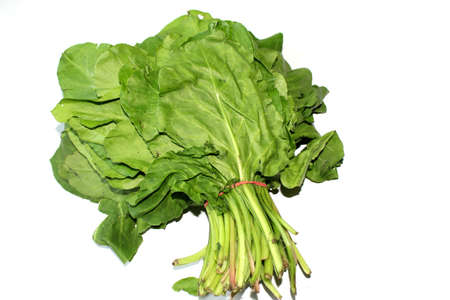 Bundle of fresh spinach palak, green vegetable isolated on whiteの写真素材