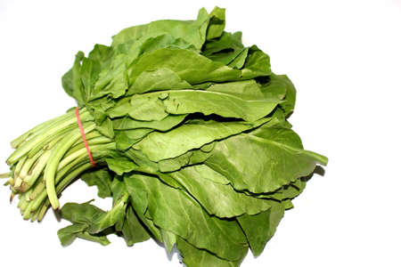Bundle of fresh spinach palak, green vegetable isolated on white