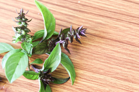 Aromatic herbs, Sweet basil, Creative layout made of purple basil flower put on a brown wooden...
