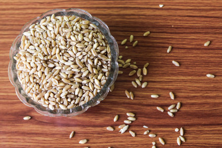 wheat grains on wooden plank background, Wheat Seeds, Raw and cooked Barley pearl seeds in a bowl or over brown background. selective focusの写真素材