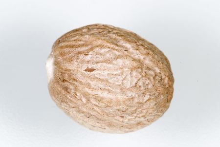 spices - detail of whole nutmegs on white background