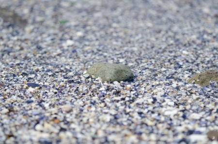 detail of pebble on sand beachの写真素材