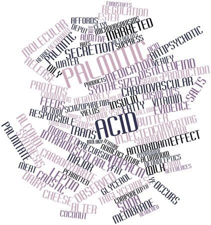 Abstract word cloud for Palmitic acid with related tags and termsの写真素材