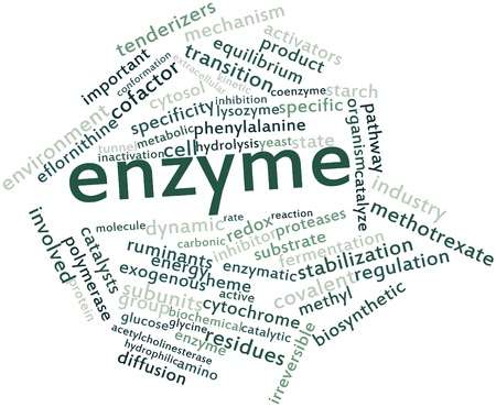 Abstract word cloud for Enzyme with related tags and termsの写真素材
