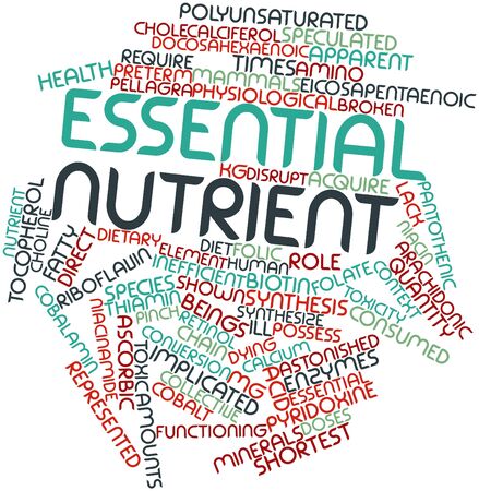 Abstract word cloud for Essential nutrient with related tags and termsの写真素材