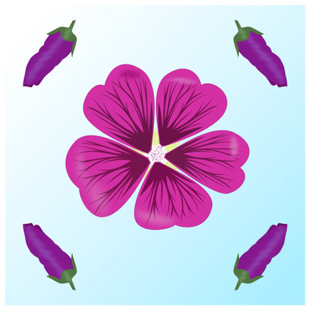 Moorish mallow flower in bloom in the middle and around it four still undeveloped mallow flowers on a blue backgroundのイラスト素材