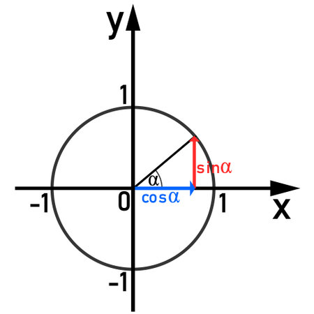 Graphical representation of the sine and cosine functions on the unit circleのイラスト素材