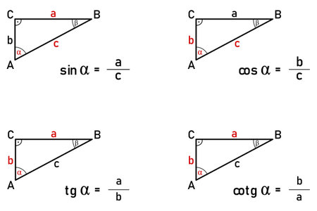 Calculation of sine, cosine, tangent and cotangent functions in a right triangleのイラスト素材