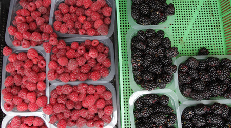 Raspberry and blackberry. Organic berries in plastic basket on a farmerâ€™s market. Raspberries...