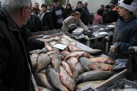 Fresh fish in seafood market outside. Fresh fish in dirty outdoor market for seafood.  People buy fresh fish on a dirty seafood market outside in Sofia, Bulgaria  dec 5, 2008のeditorial素材