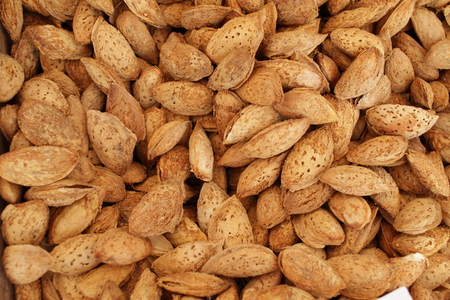 Almonds with shell. Fresh organic almond nuts with shells.の写真素材