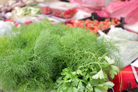 Parsley and dill.の写真素材