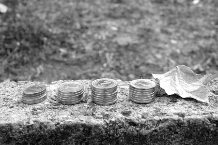 Pile of coins on the rock