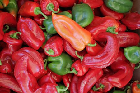 Peppers. Organic colorful peppers