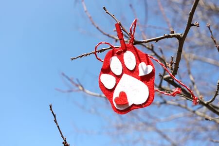 Martenitsa on a branch in shape of dog paw, dog love.の写真素材