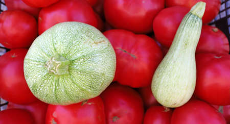 Green zucchini and tomatoes. Vegetables background.の写真素材