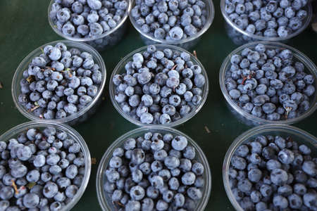 Plastic bowls with blueberries. Berries pattern.の写真素材