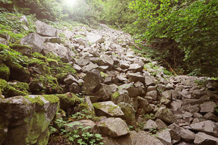 Stone river (called also stone run, stone stream or stone sea ) on mountain Vitosha, near upper Alekoâs waterfalls.の写真素材