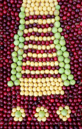 Red cherries on a twigの写真素材