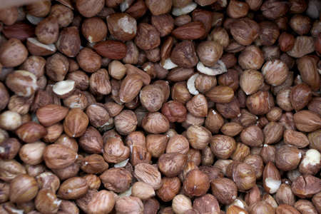 Background and pattern of raw peeled hazelnuts.の写真素材
