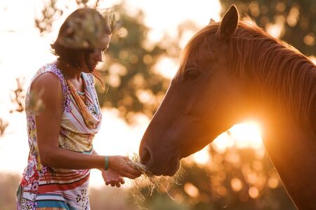 Woman feeding horseの写真素材