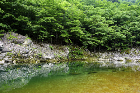 Fresh green and river of Ryuokyo in Japanの写真素材