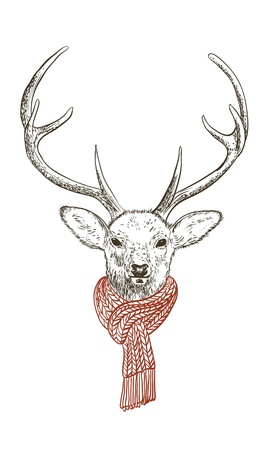 Pen and ink illustration of deer in scarfのイラスト素材