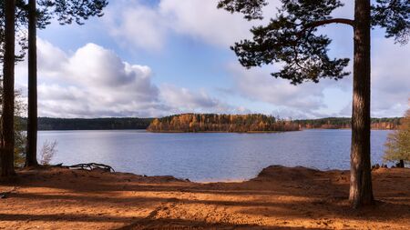 Little island between two autumn pines on lake in sunny day. Sosnovo, Leningradskaya oblast, Russiaの写真素材