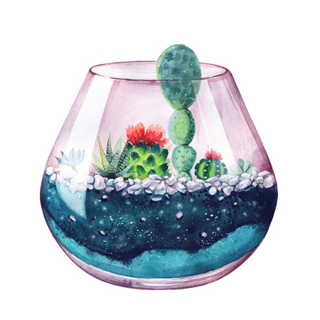 Watercolor illustration. Composition of succulents. Floral design. Terrarium for succulents and cacti. Open glass sphere. Round transparent vase. Isolated on white background. Home flower. Home Decor.の写真素材
