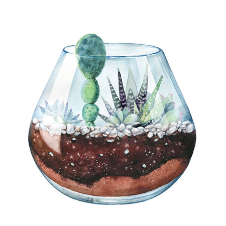Watercolor illustration. Composition of succulents. Floral design. Terrarium for succulents and cacti. Open glass sphere. Round transparent vase. Isolated on white background. Home flower. Home Decor.の写真素材
