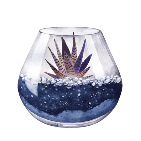 Watercolor illustration. Zebra cactus. Haworthia striped. Terrarium for succulents and cacti. Open glass sphere. Round transparent vase. Isolated on background. Home flower. Home Decor. Neon color.の写真素材