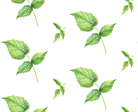 Seamless pattern. Hand drawn watercolor realistic illustration. Green raspberry leaf. Isolated on white background. Summer, light, airy pattern. Juicy, fresh, eco-friendly.の写真素材