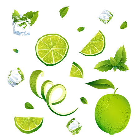 Vector illustration. Set of orange pieces. Collection of different orange elements. Whole, half, slice, peel with serpentine.のイラスト素材