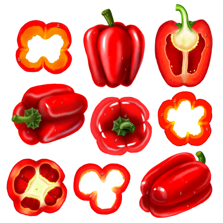 Large set. Illustration of a red bell pepper. Whole vegetable, half, rear view, front view, slice, rings.の写真素材