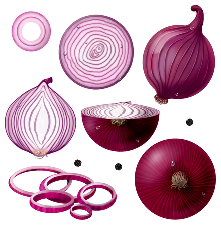 Large set. Illustration of a red onion. Whole vegetable, half, rear view, front view, slice, rings and Black pepperの写真素材