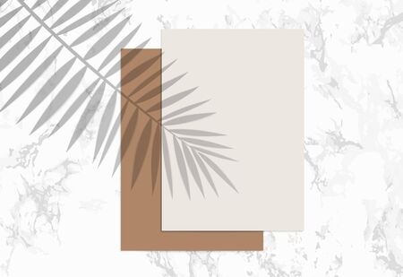Two A4 Paper sheets on marble background. Mockup with overlay a palm leaf shadow. Natural lighting overlays shadow on top. Scene of Tropical Leaf Shadow from the window. Realistic vector illustration.のイラスト素材