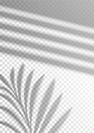 The transparent shadow overlay effect. Tropic leaf and window blind. Mockup with overlay a palm leaf shadow. Natural lighting overlays shadow on top. Scene of Shadow from the window. Realistic vectorのイラスト素材